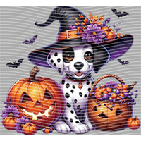 Halloween-WS 5774